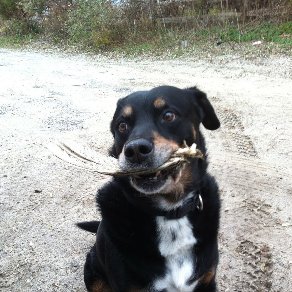 Meet your Posher, Megan